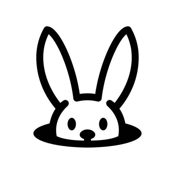 Follow The White Rabbit.